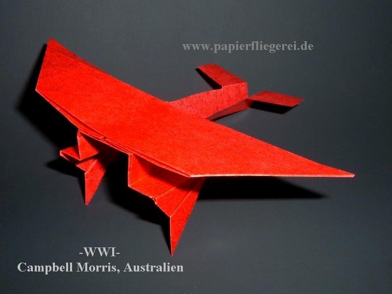 Papierflieger, Morris-Australien